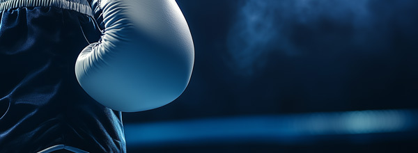 Boxing Glove